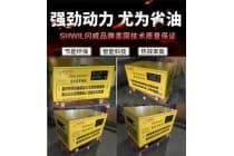 380v全自动25KW汽油发电机