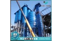 NE斗式提升机板链提升机