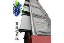 不伤果粉蓝莓选果机伟明厂家直销