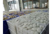 耐用的酸辣粉成套设备 麻辣粉丝生产线封闭式运行减少外界污染