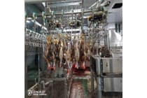 鸡鸭屠宰生产线麻鸭流水线配件家禽屠宰设备厂家直销不锈钢配件