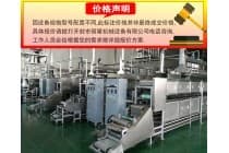 丽星圆形粉皮机带烘干 五谷面生产线有不同型号 日产1-3吨