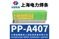 上海电力牌PP-A407不锈钢电焊条E310-15焊条